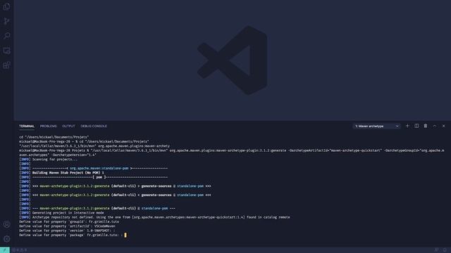 Coder en Java sur VS Code (Vanilla, Maven, migration d'IntelliJ IDEA) смотреть онлайн