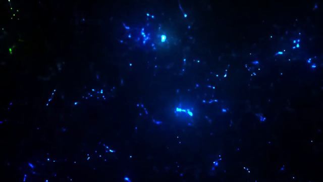 Glowing - видео фон в высоком качестве смотреть онлайн