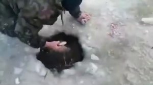 Замор рыбы в водоёмах