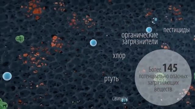 Оптимальный способ очистки воды смотреть онлайн