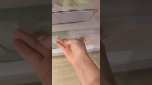Если ЖУЧКИ завелись в крупах! лайфхак смотреть онлайн