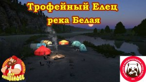 Как поймать трофейного Ельца на реке Белой? Русская Рыбалка 4
