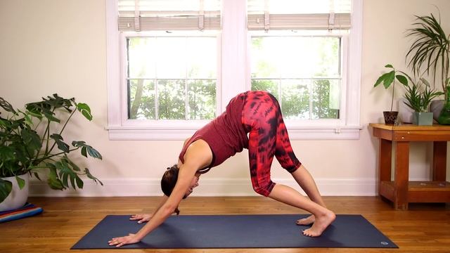 Grounding Into Gratitude - Root Chakra Yoga - Yoga With Adriene