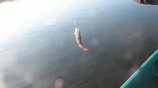 Астрахань смотреть онлайн