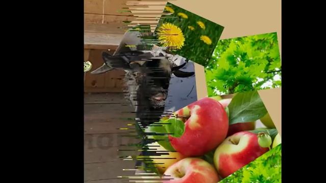 Есть город золотой. смотреть онлайн