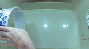 МЕСЯЦ НЕ УБИРАЛА у хомяка / ГЕНЕРАЛЬНАЯ УБОРКА У ХОМЯКА ОРЕО  / ХОМКИ КУСАЕТСЯ / Alisa Easy Pets