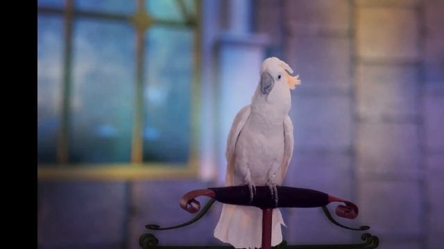 ИЗ-ЗА СТОЛА НА РАБОТУ. ОДИН ДЕНЬ ИЗ ЖИЗНИ. // My first working day of the year смотреть онлайн