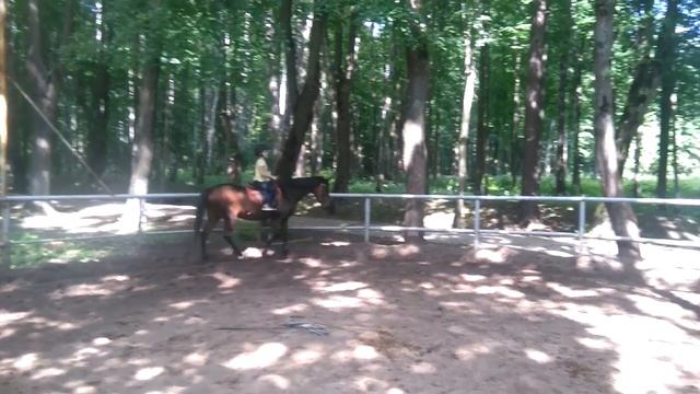 Первые пять занятий на лошадях. Впечатления. смотреть онлайн