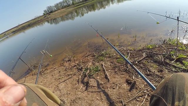 Ловим карася на опарыша смотреть онлайн