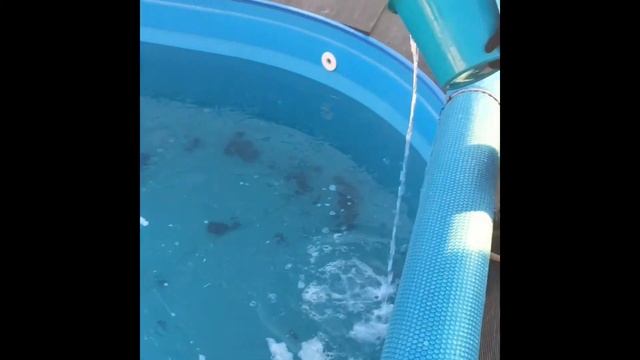 Лучшая консервация бассейна смотреть онлайн