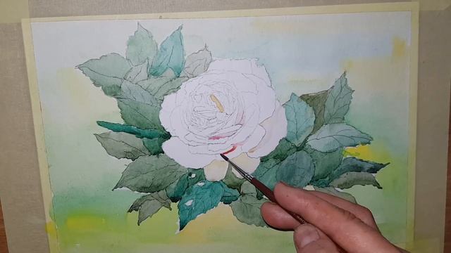 Watercolor. how to draw a rose with watercolors. Как нарисовать розу. смотреть онлайн
