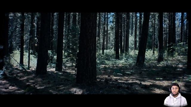The Hide-behind ALTER (SSS) | THIS IS EXACTLY WHY YOU DON'T GO TO THE WOODS ALONE смотреть онлайн