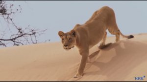 Стив Морган 2.