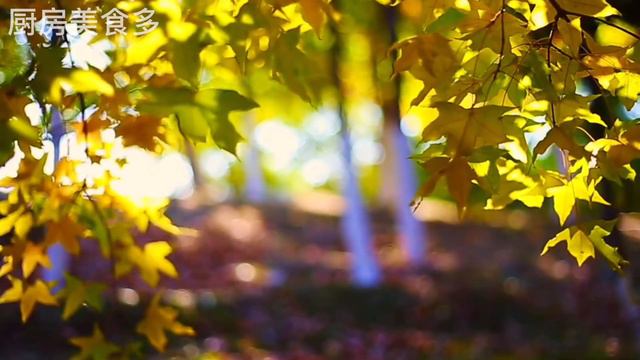 【廚房美食多】醫生提醒：60歲後體檢，做好這4項檢查就行了，不必每個檢查都做 смотреть онлайн