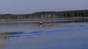 River boats RB 300, Tohatsu 5