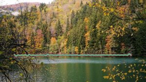 ХАБИБА - АНАКОНДА 2024