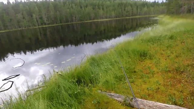 Рыбалка за 8 минут | Поход на лесную ламбушку, спиннинг, щука с берега, щучья ловля, жизнь рыбака смотреть онлайн
