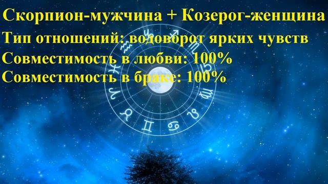 Совместимость Скорпион-мужчина и Козерог-женщина смотреть онлайн