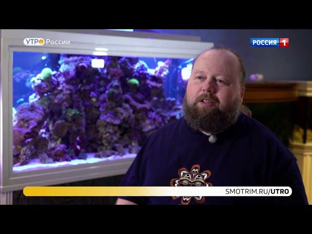 Рассказываем о цихловых в программе "Утро России" на телеканале "Россия 1" смотреть онлайн