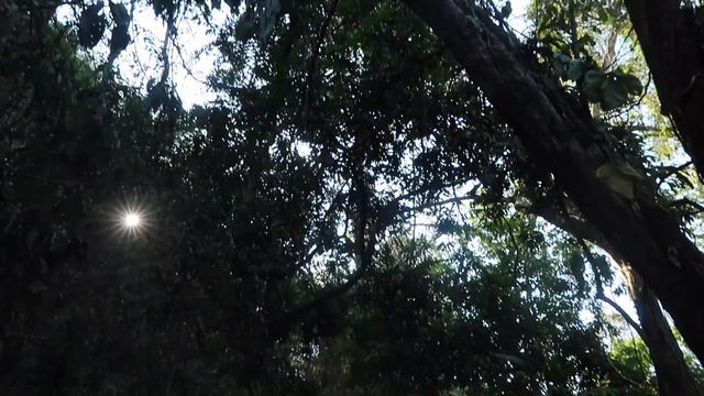 Costa Rica Travel Diary // GW Alt Breaks 2019 смотреть онлайн