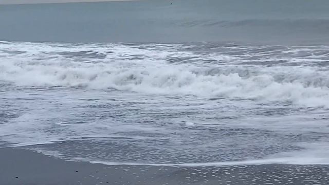 Середина ноября в Сочи. Море волнуется, но очень красиво смотреть онлайн