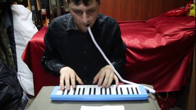 Мелодика (Melodica) MVI 1484