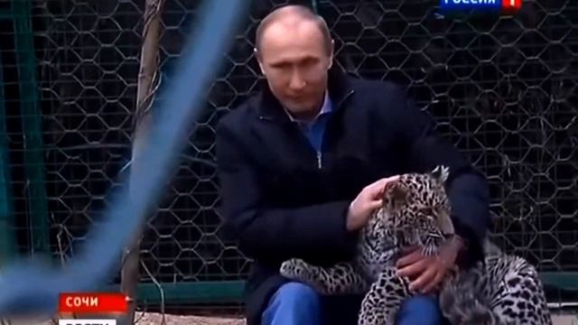 С Днём России, страна моя могучая!!!?????? смотреть онлайн