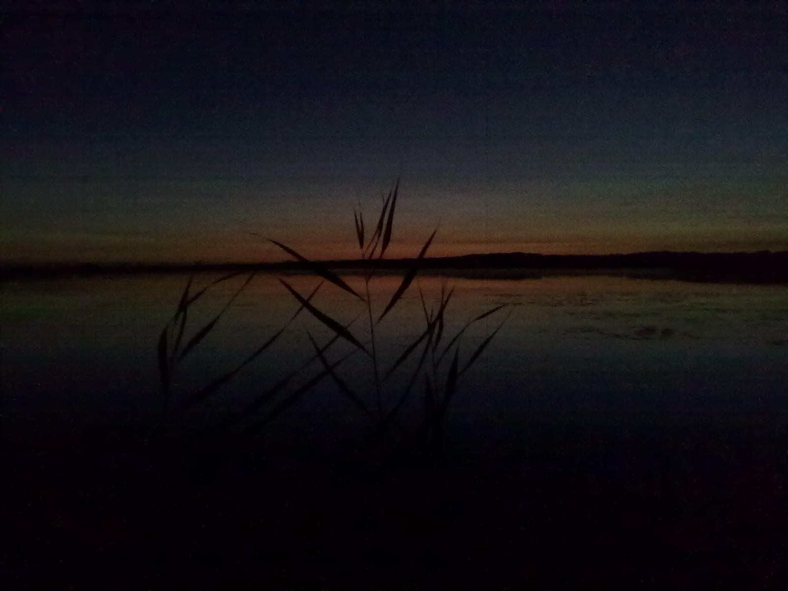 РЫБАЛКА НА КАРАСЯ НА УДОЧКУ 2022 смотреть онлайн