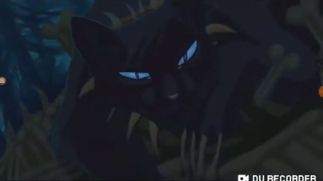 Бич и Кровоцапка - Опасно