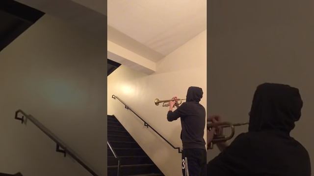 "The Force Theme" - Star Wars - stairwell with awesome reverb смотреть онлайн