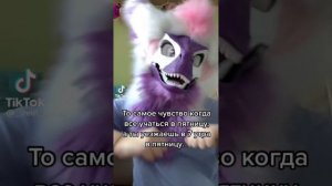 Рапторы, Фурри и драконы из тик тока (НЕ МОИ!!!!)#furries#вреки#рапторы#фурри#драконы#драконынаруку