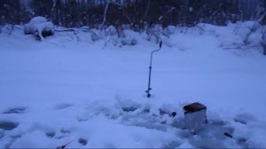 Рыбалка Мана зимой 2016-2017 ловля ельца