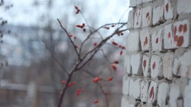 зима смотреть онлайн