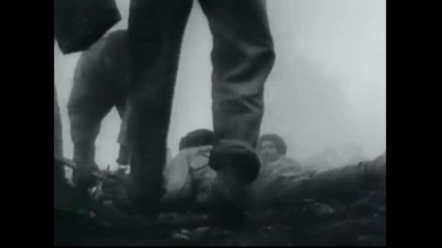 Natalia Cardone - Commandante Che Gevara.avi смотреть онлайн