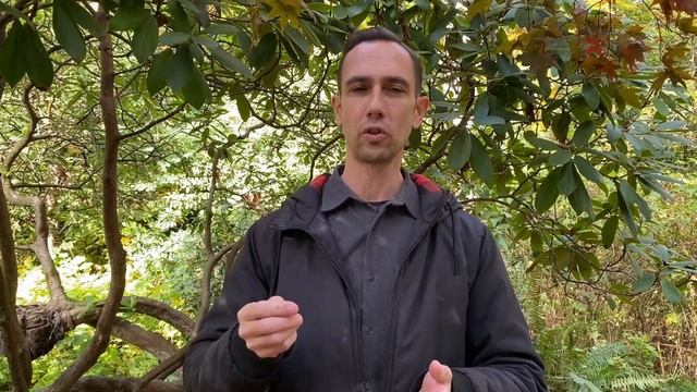 Kriya Yoga, Dhyana, and Paravastha смотреть онлайн