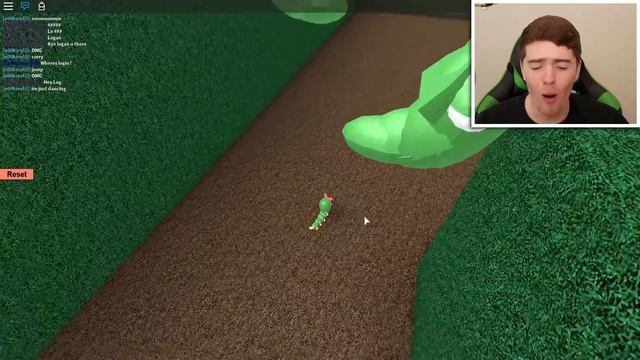 Only Caterpie Can Play This Roblox Game! смотреть онлайн