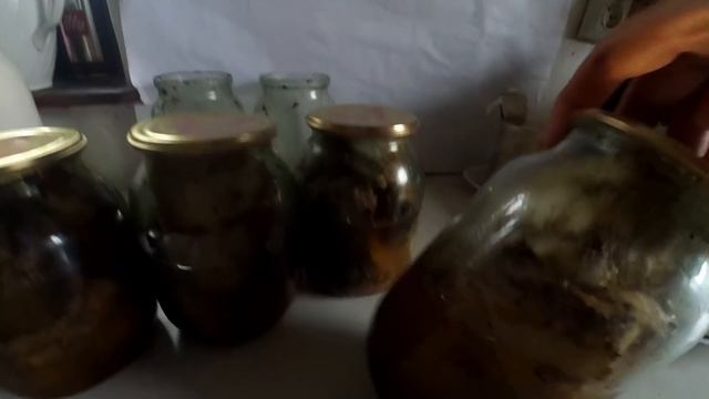 САЛО, ЗАПЕЧЕНЕ в банках. смотреть онлайн