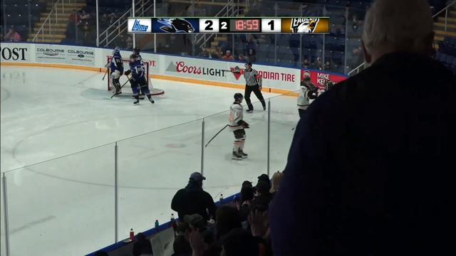 #596 Saint John Sea Dogs 3 Cape Breton Eagles 2 - 01-04-2022 смотреть онлайн