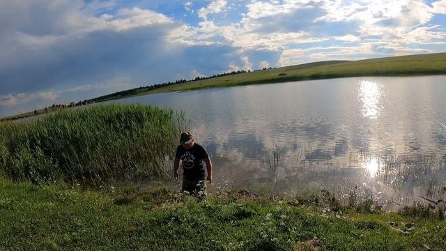 Рыбалка в Брянской области. Рыбалка на карася. Клевала мелкая красноперка. смотреть онлайн