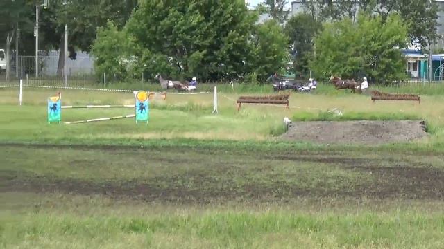 9 заезд, 26 06 2021 Новосибирский ипподром смотреть онлайн