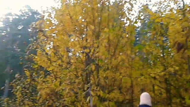 Кто сливает нечистоты в Самаринский пруд? смотреть онлайн