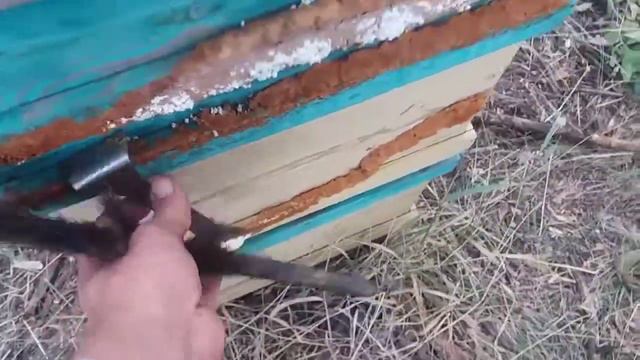 лайфхак от пчелиного синдиката/ один килограмм прополюса с одного улья смотреть онлайн