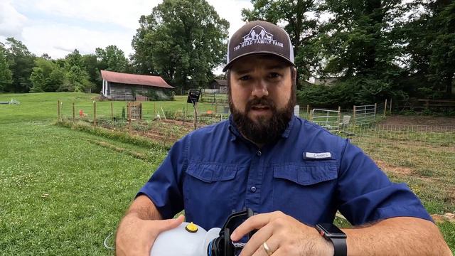 All About Lavender Ameracauna Chickens and Organic Garden Pest Control with Neem Oil (Zone 8a) смотреть онлайн