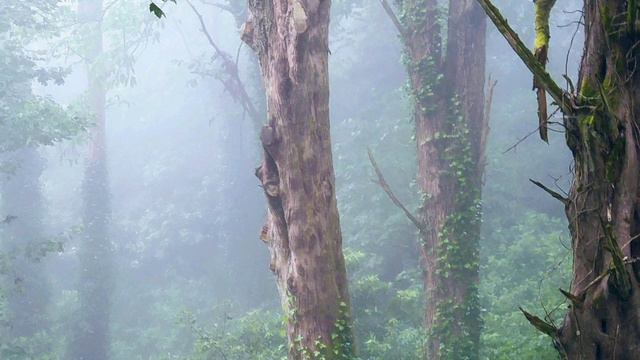 Sintra - Eurorack and Minifreak Ambient смотреть онлайн