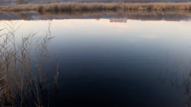 Славянск. 15 ноября 2022г. Вечер. смотреть онлайн