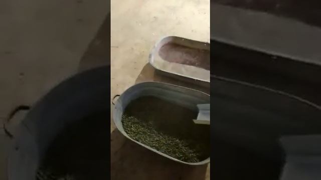 Гранулируем траву на грануляторе"Компакт" смотреть онлайн