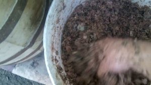 ХЛЕБ ДЛЯ КУРЕЙ! МОЖНО ЛИ ДАВАТЬ КУРАМ ХЛЕБ И ДРУГИЕ ОТХОДЫ СО СТОЛА?! 20 листопада 2019 р.