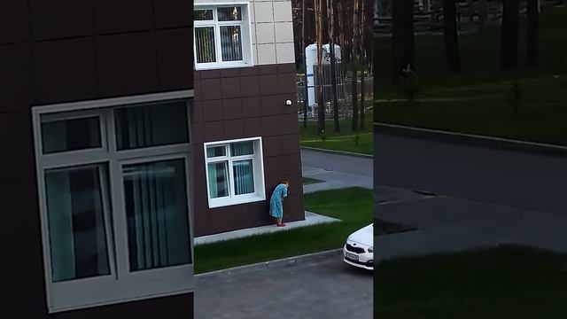На что только не пойдёшь, в период пандемии.....Роддом смотреть онлайн