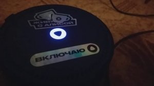 Ставни единственное число,Алиса