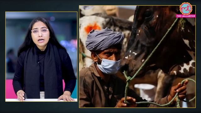 48 हजार साल पुराना 'Zombie Virus' नई महामारी की आफत लाने वाला है? смотреть онлайн